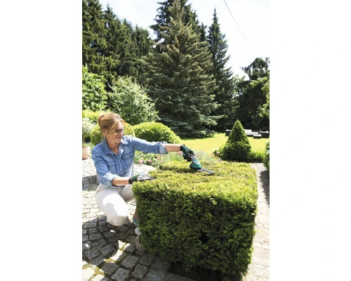 BOSCH Accu Gras- Buxusschaar Incl. Accu En Lader - Afbeelding 5