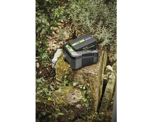 FOR_Q Accu Snellader FQ-ASL 4060 - Afbeelding 2